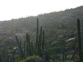 2007 10-Aruba Canyon
